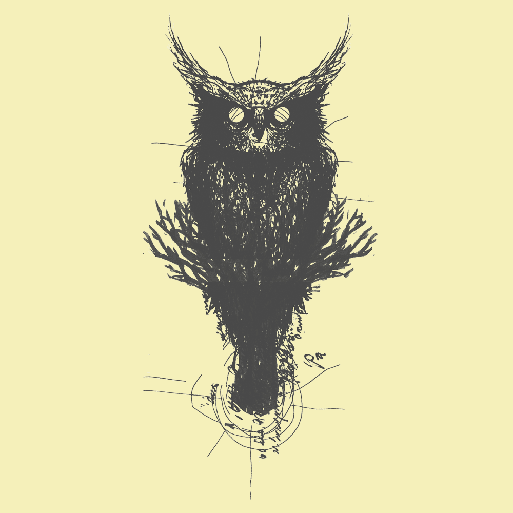 Owl  Longsleeve