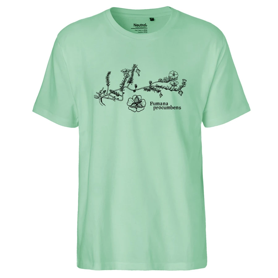 Sprawling Needle Sunrose T-Shirt