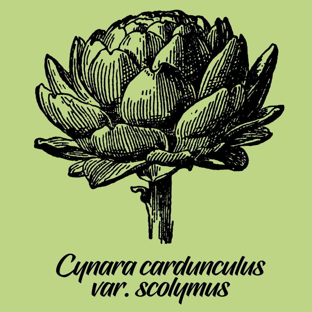 French Artichoke Sweater