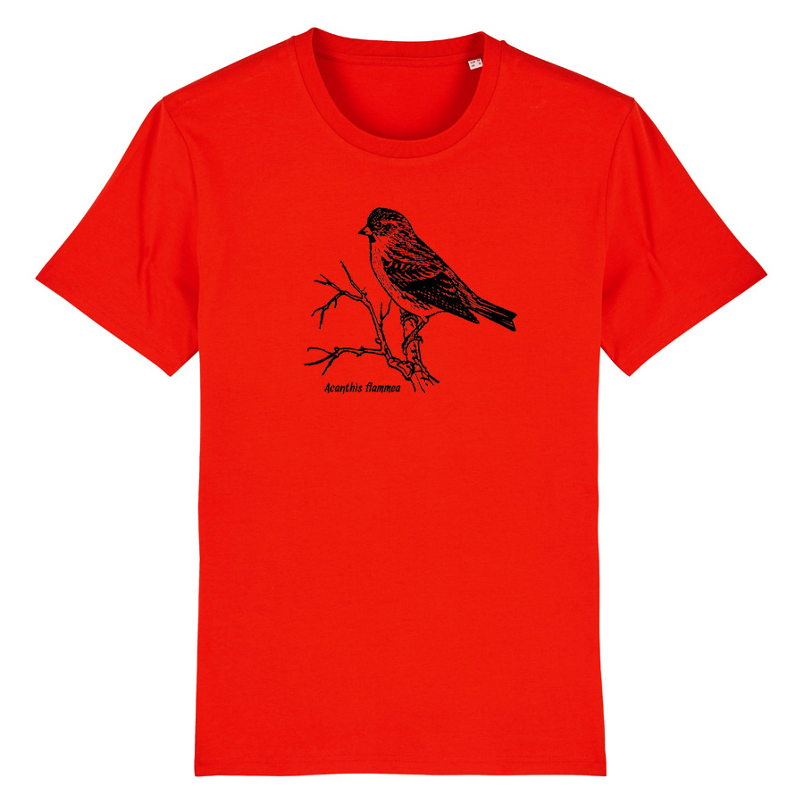 Birkenzeisig T-Shirt, bright red