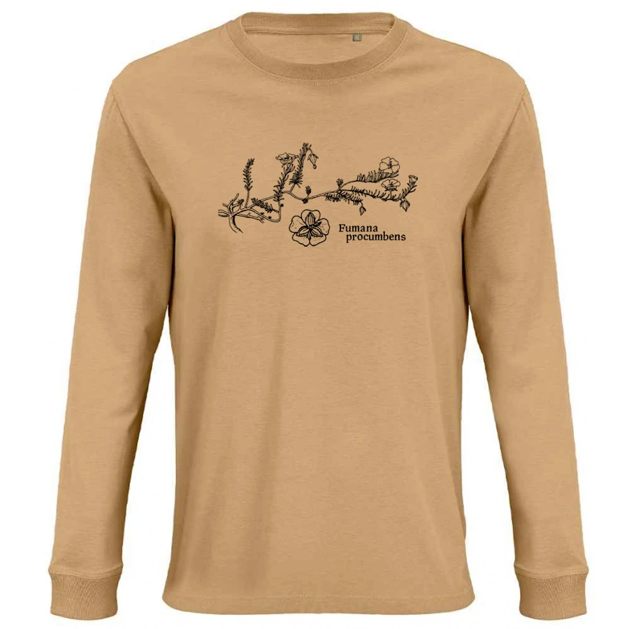Sprawling Needle Sunrose Longsleeve