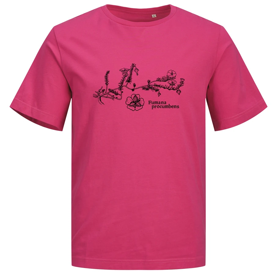 Sprawling Needle Sunrose T-Shirt