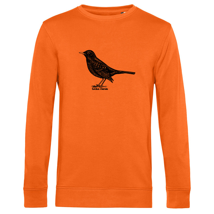 Common Blackbird  Sweater