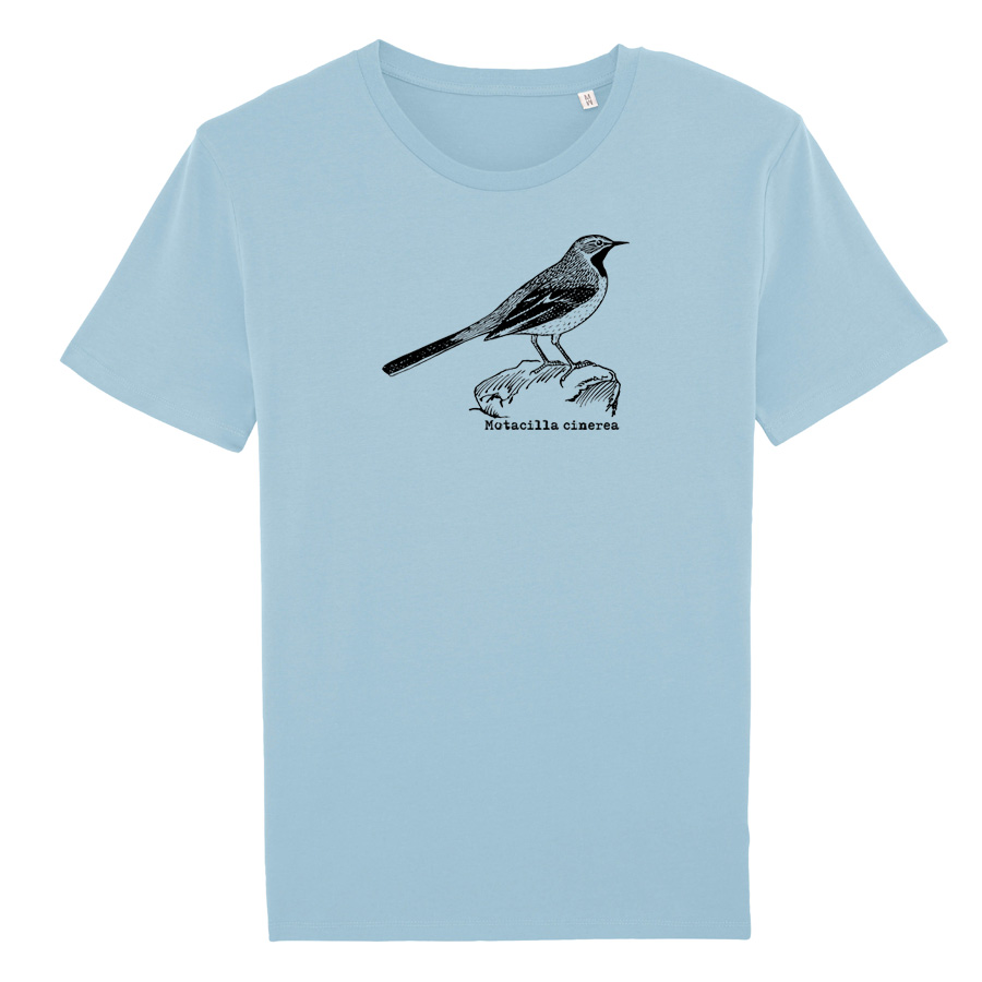 Grey Wagtail, sky blue organic BirdShirt