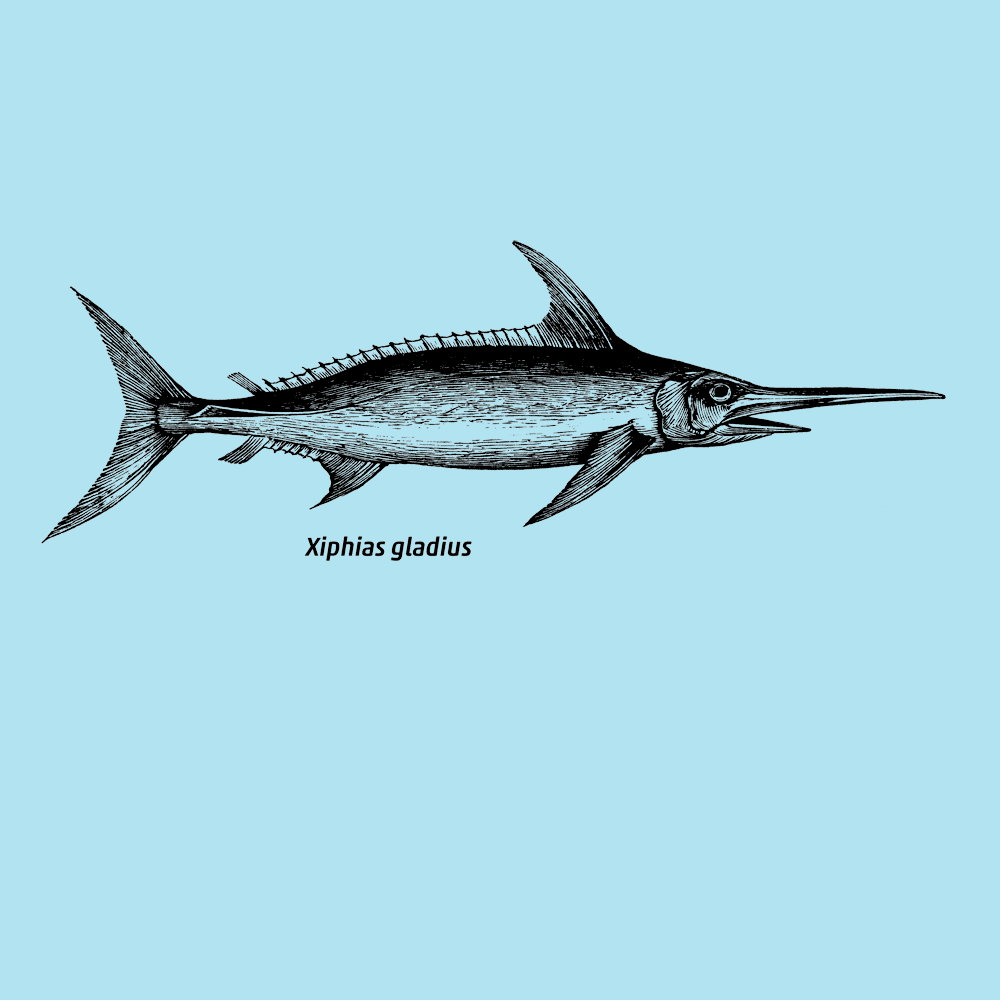 Swordfish  Longsleeve