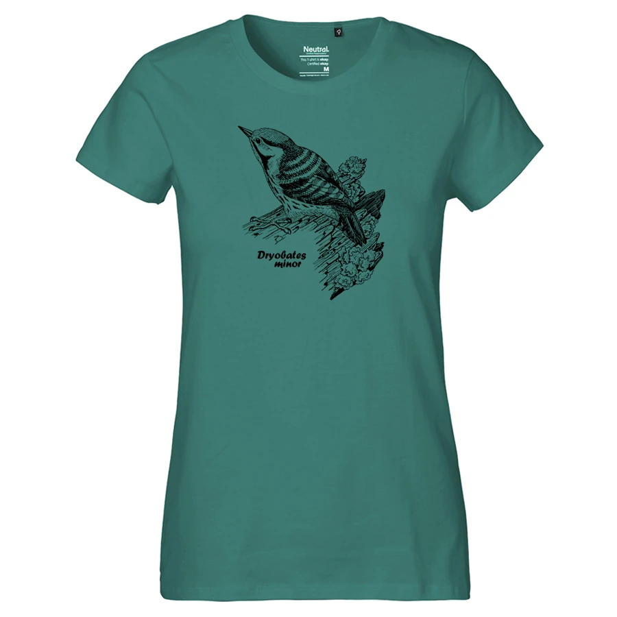 Lesser Spotted Woodpecker Girlie