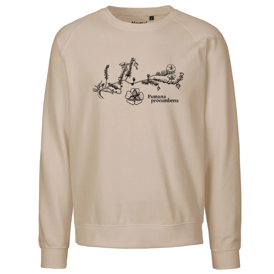 Sprawling Needle Sunrose Sweater