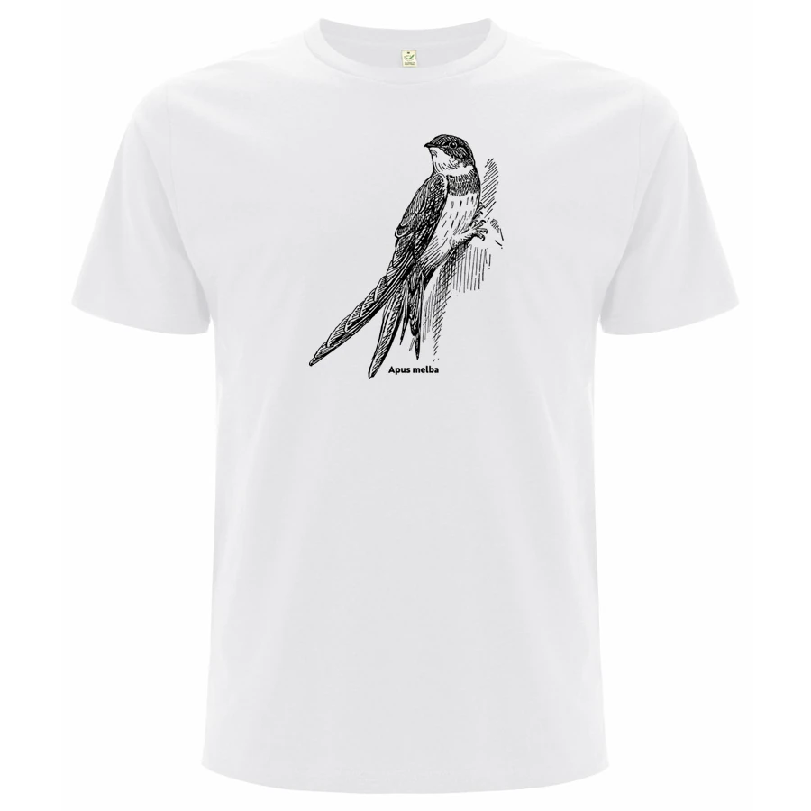 Alpensegler, Apus melba, weißes T-Shirt
