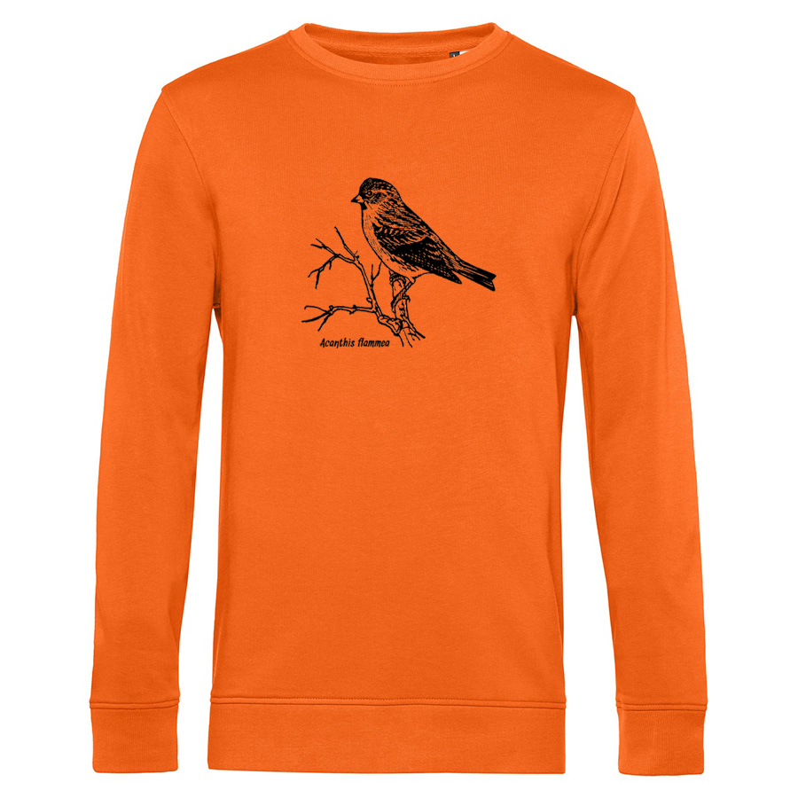 Birkenzeisig Sweatshirt, orange