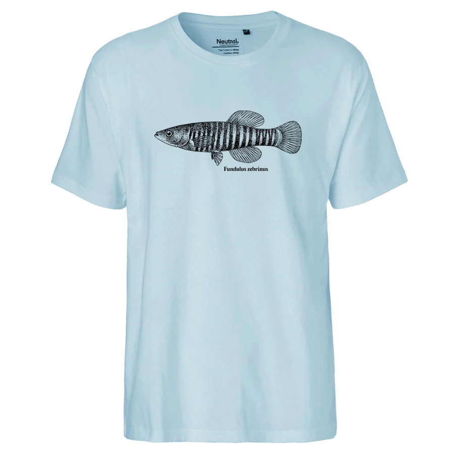 Zebra Fundulus FishShirt, light blue