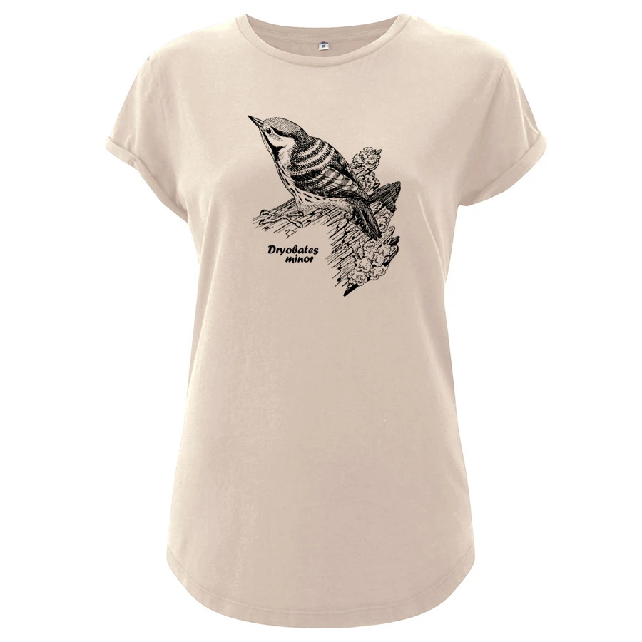 Lesser Spotted Woodpecker Girlie