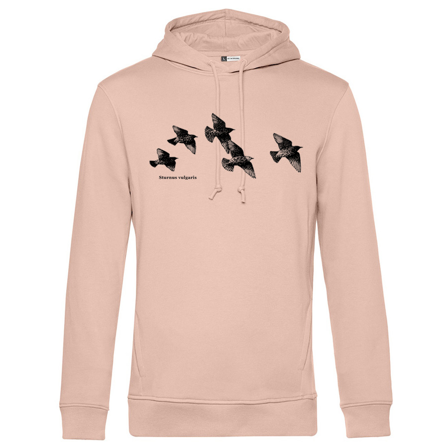 Common Starling  Hoodie