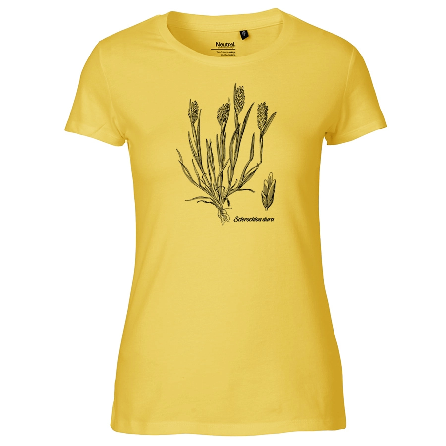 Common Hardgrass, yellow Ladies T-Shirt