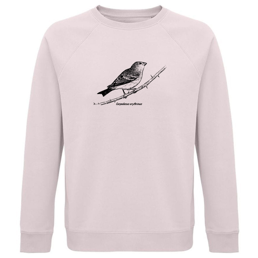 Common Rosefinch  Sweater