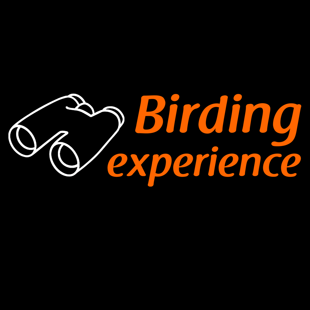 Birding Experience 2 Girlie