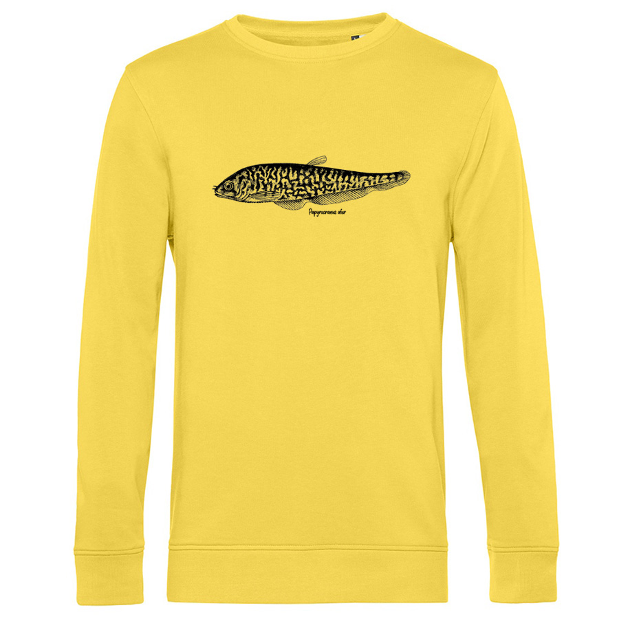 Reticulate Knifefish Sweater