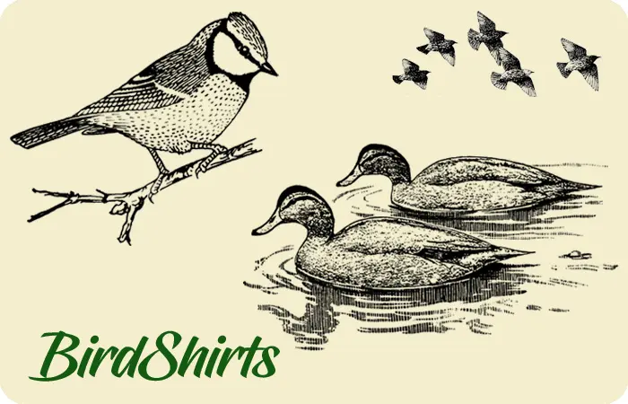 Birdshirts
