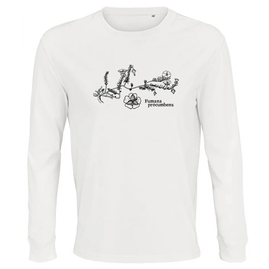 Sprawling Needle Sunrose Longsleeve