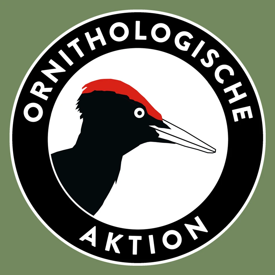 ornithologische aktion, runder aufnäher zeigt einen schwarzspecht