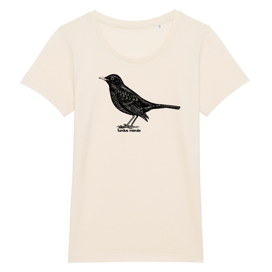 Common Blackbird, natural Girlie