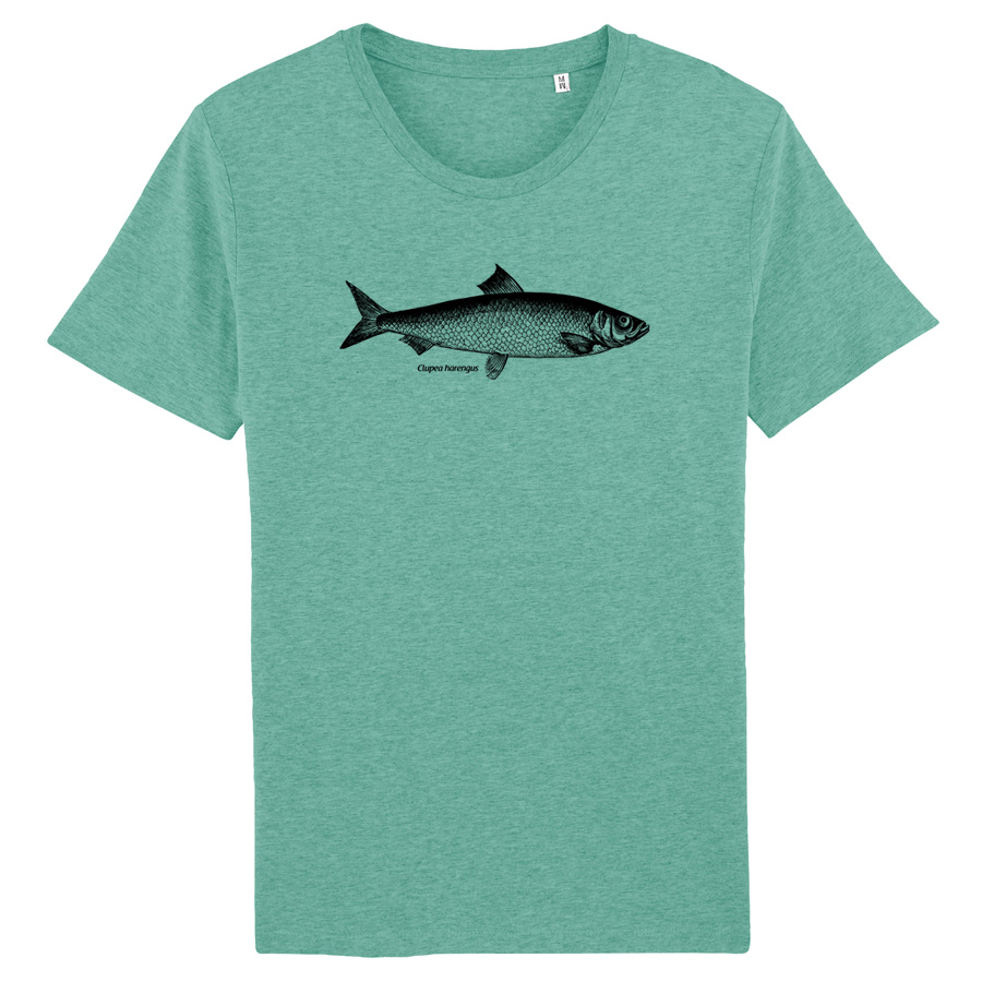 Atlantic Herring  T-Shirt