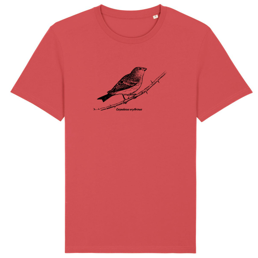 Common Rosefinch  T-Shirt