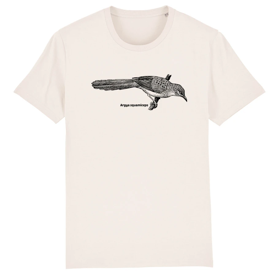 Arabian Babbler T-Shirt