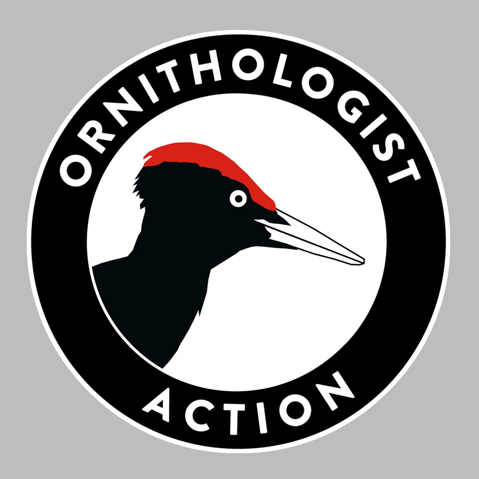 ornithologist action, woodpecker logo