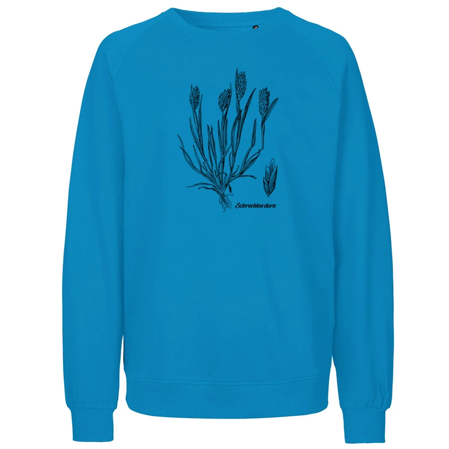 Common Hardgrass Sweater