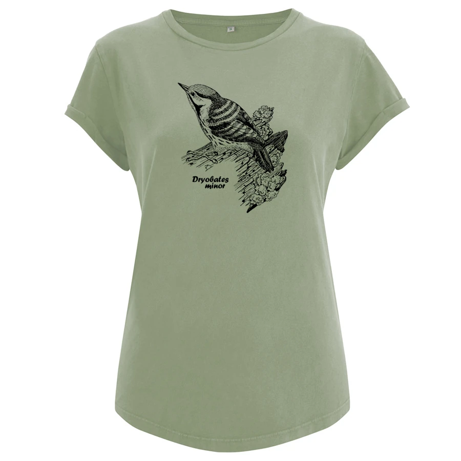 Lesser Spotted Woodpecker Girlie