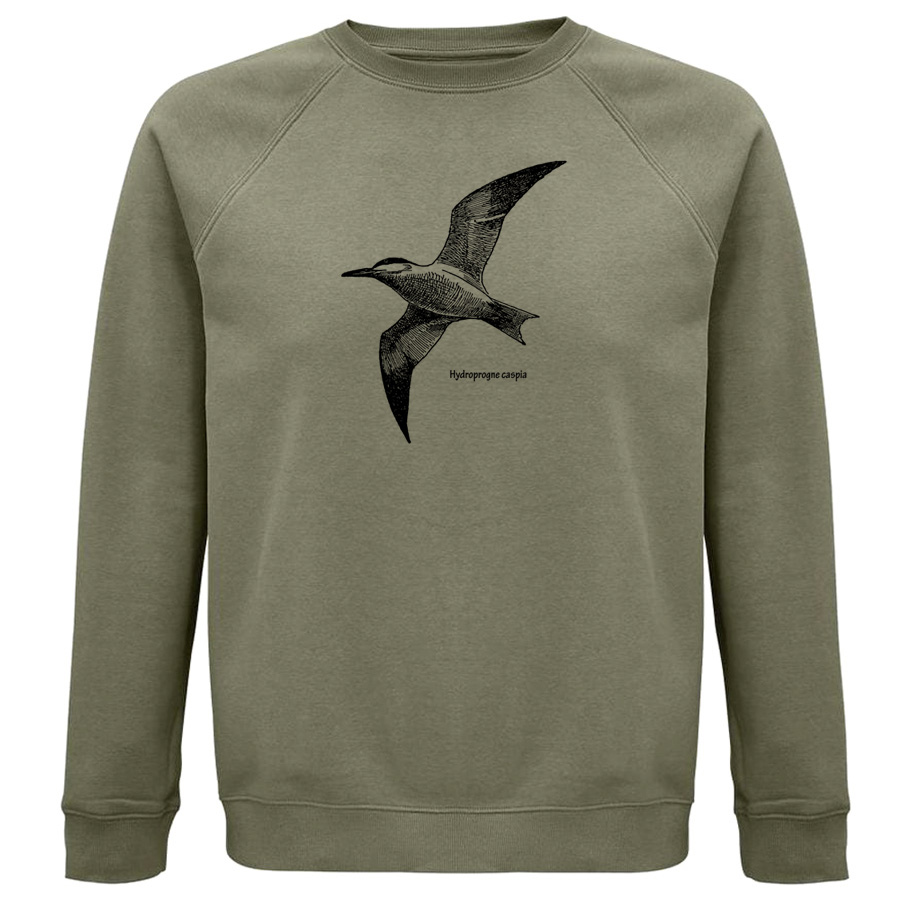Caspian Tern Sweater