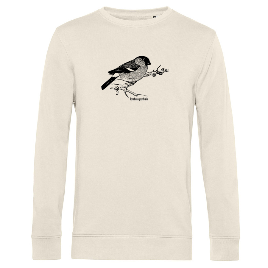 Bullfinch  Sweater