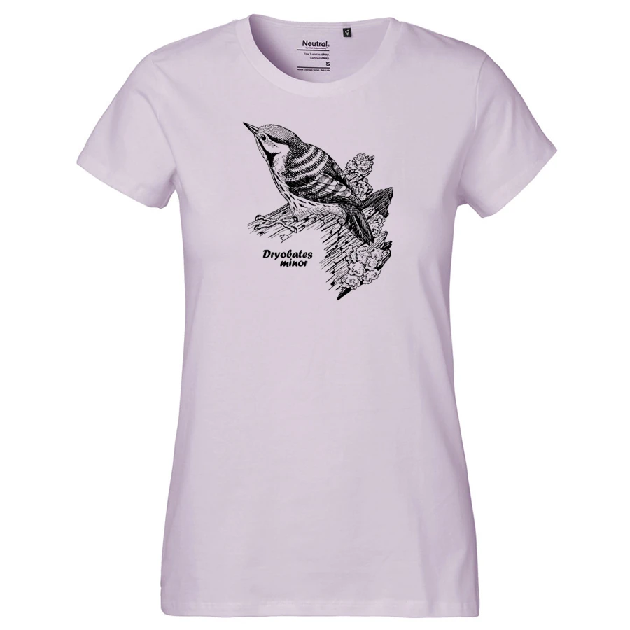 Lesser Spotted Woodpecker Girlie