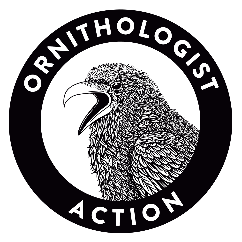 Ornithologist Action 4  Hoodie