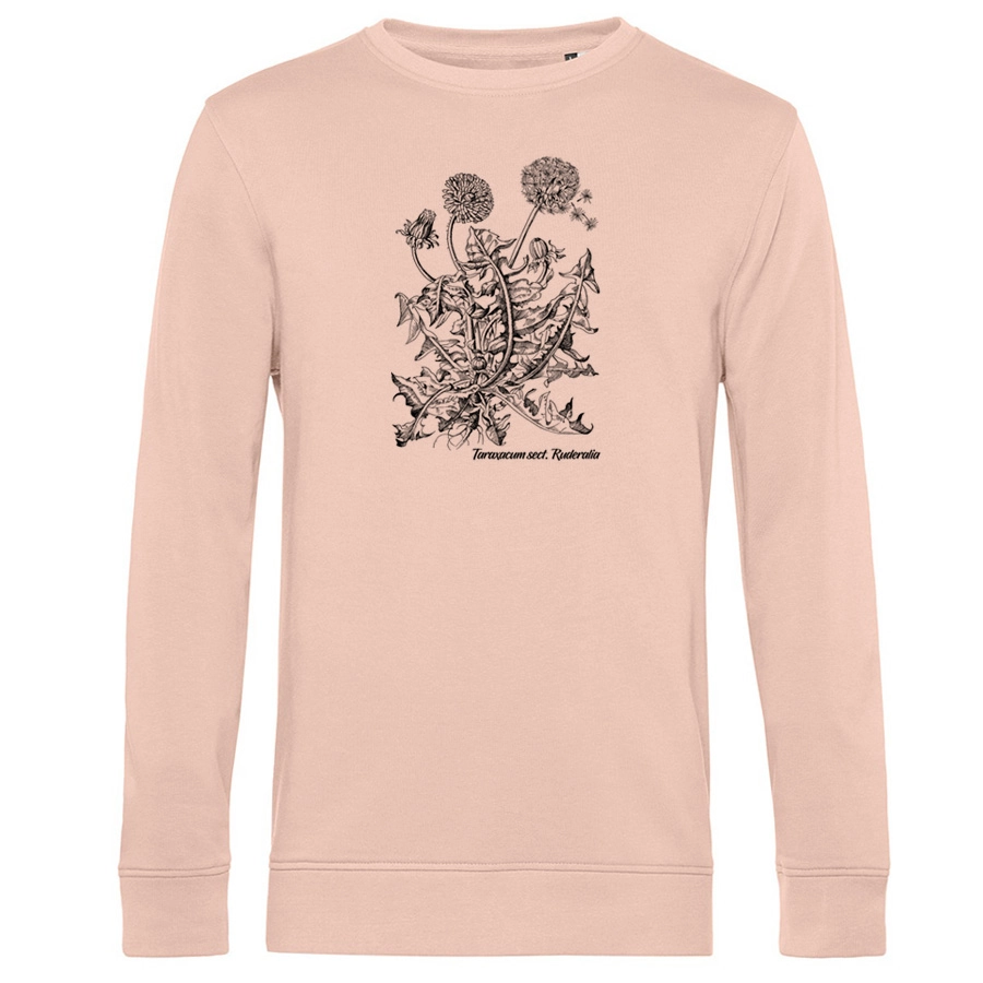 Common Dandelion Sweater