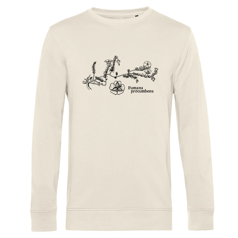 Sprawling Needle Sunrose Sweater