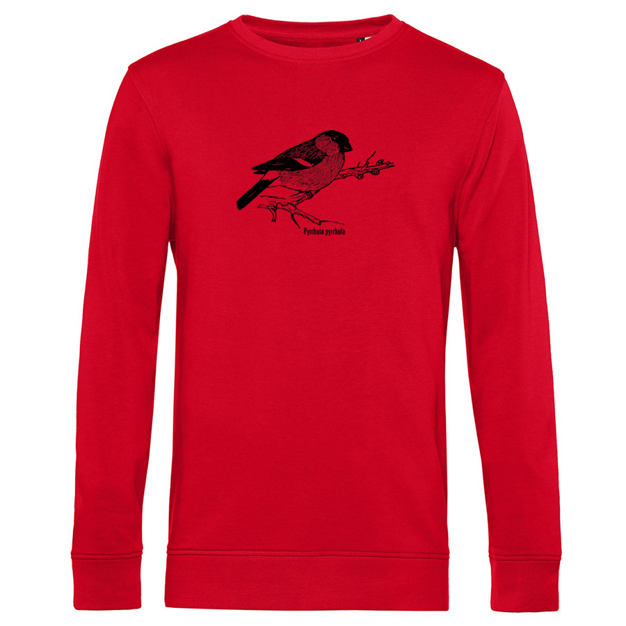 Bullfinch  Sweater