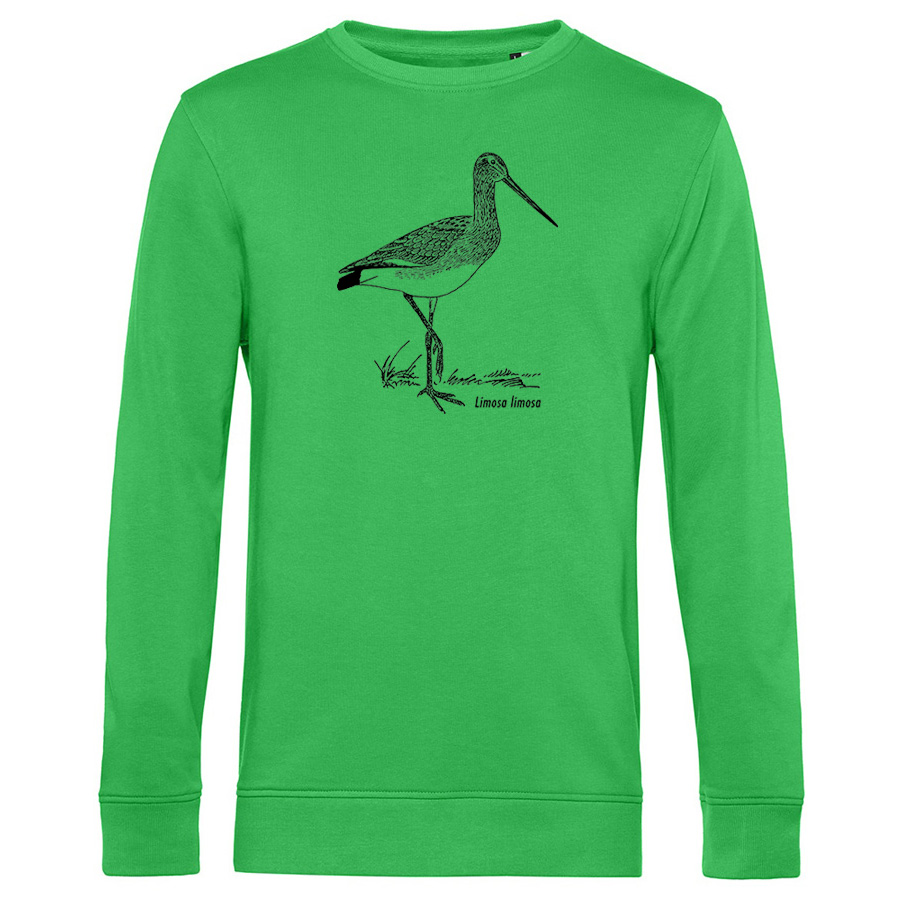 Black-tailed Godwit  Sweater
