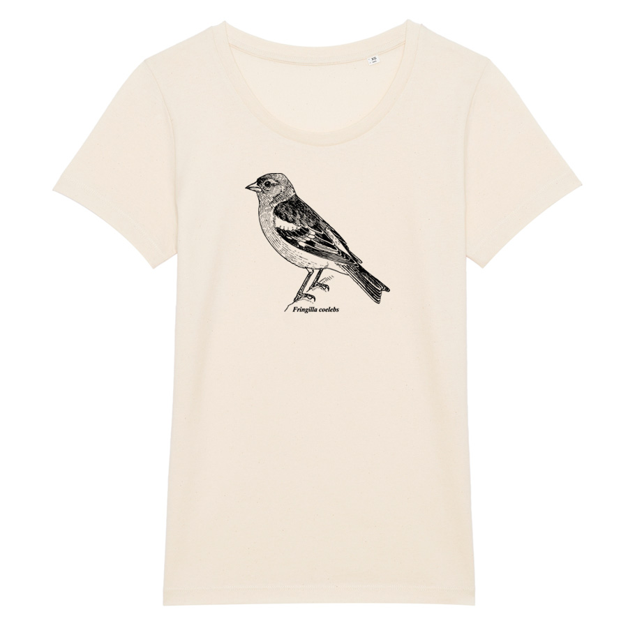Common Chaffinch, Organic Girlie, natural