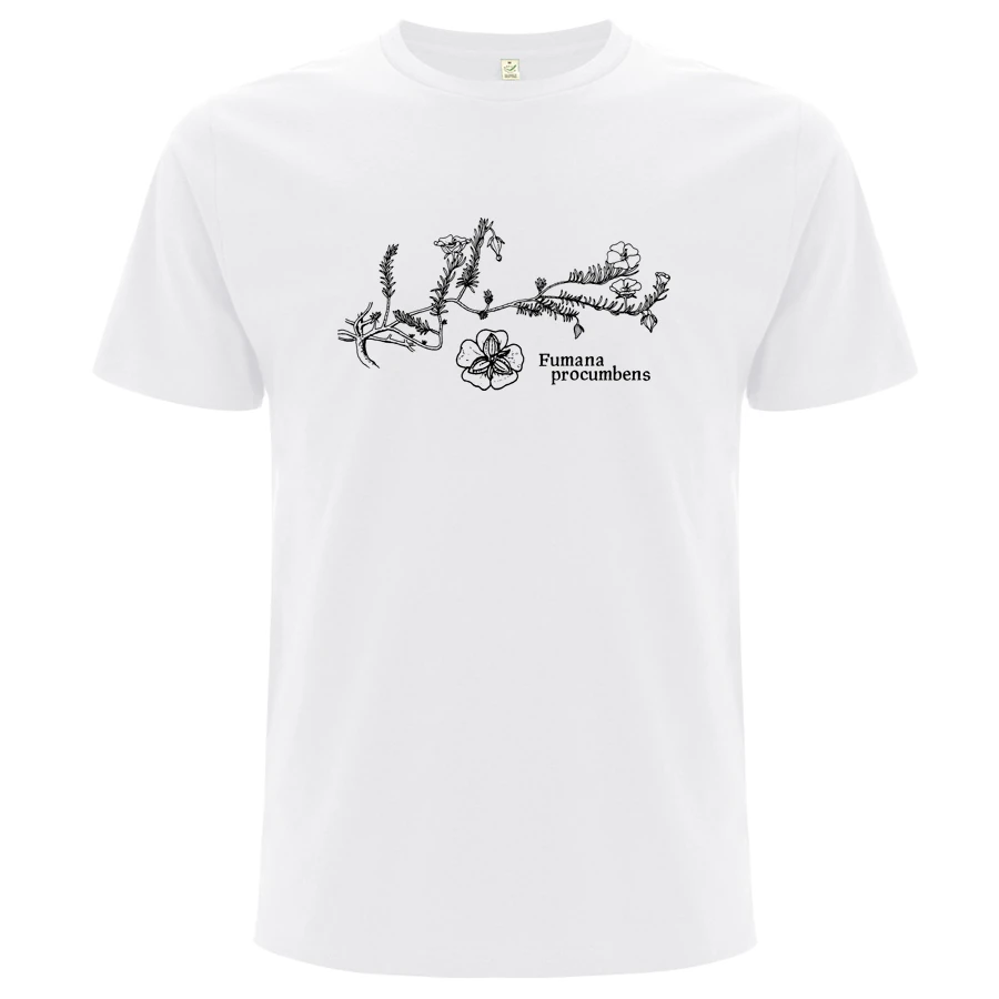 Sprawling Needle Sunrose T-Shirt