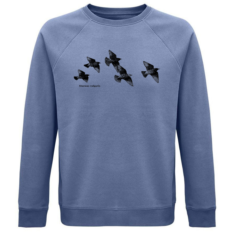 Common Starling Sweater