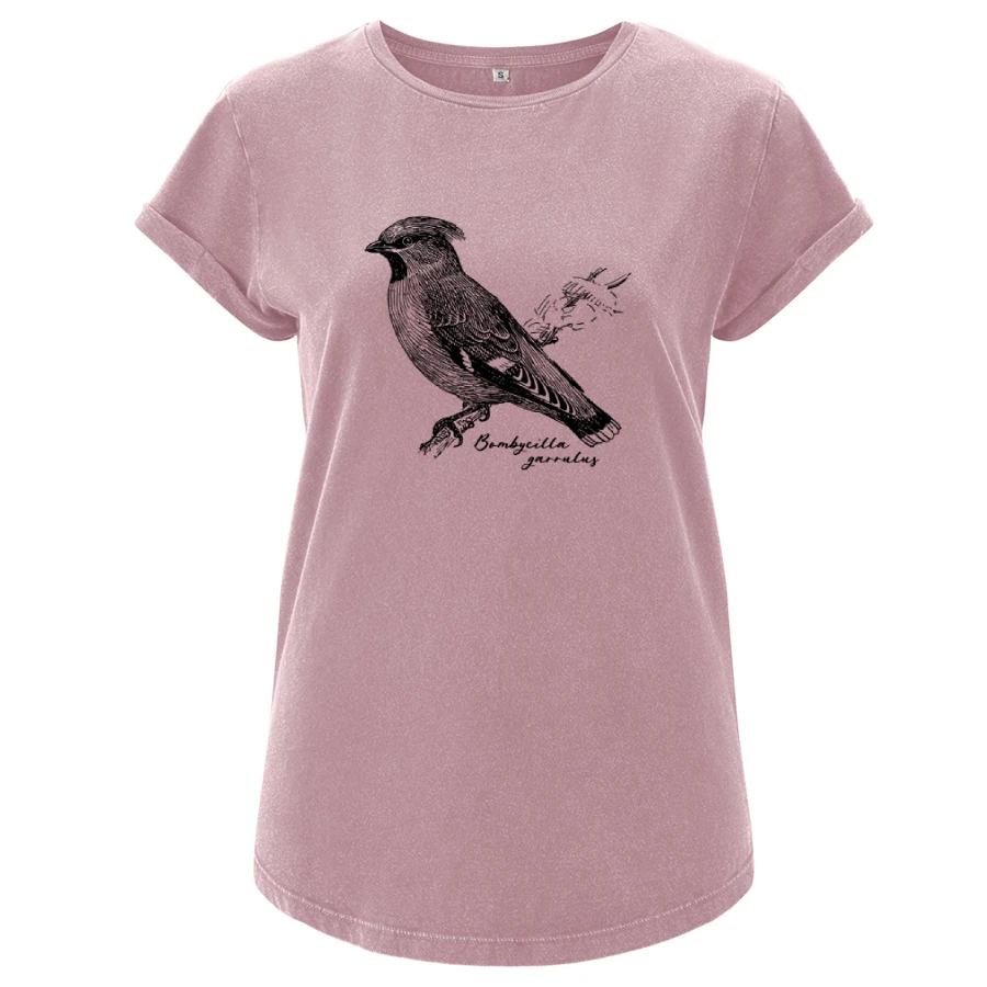 Bohemian Waxwing Girlie