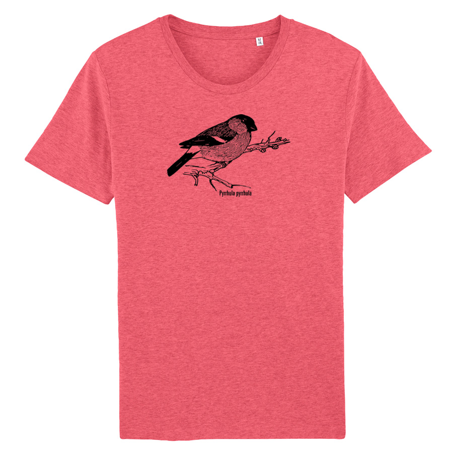 Bullfinch  T-Shirt