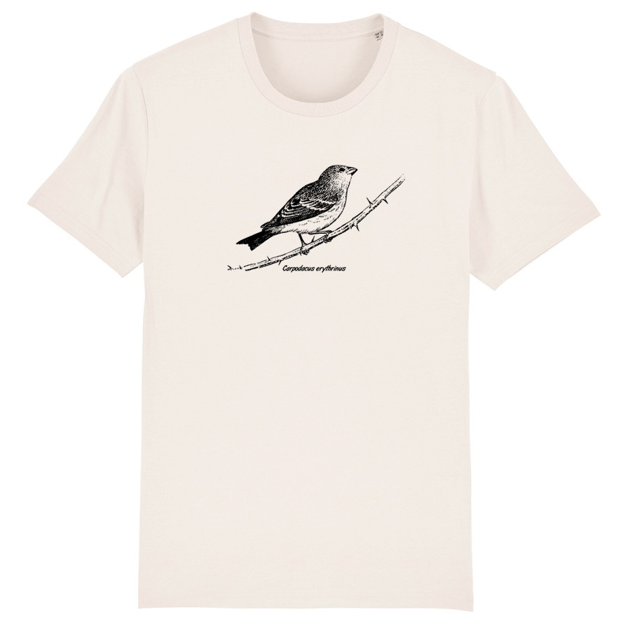 Common Rosefinch T-Shirt