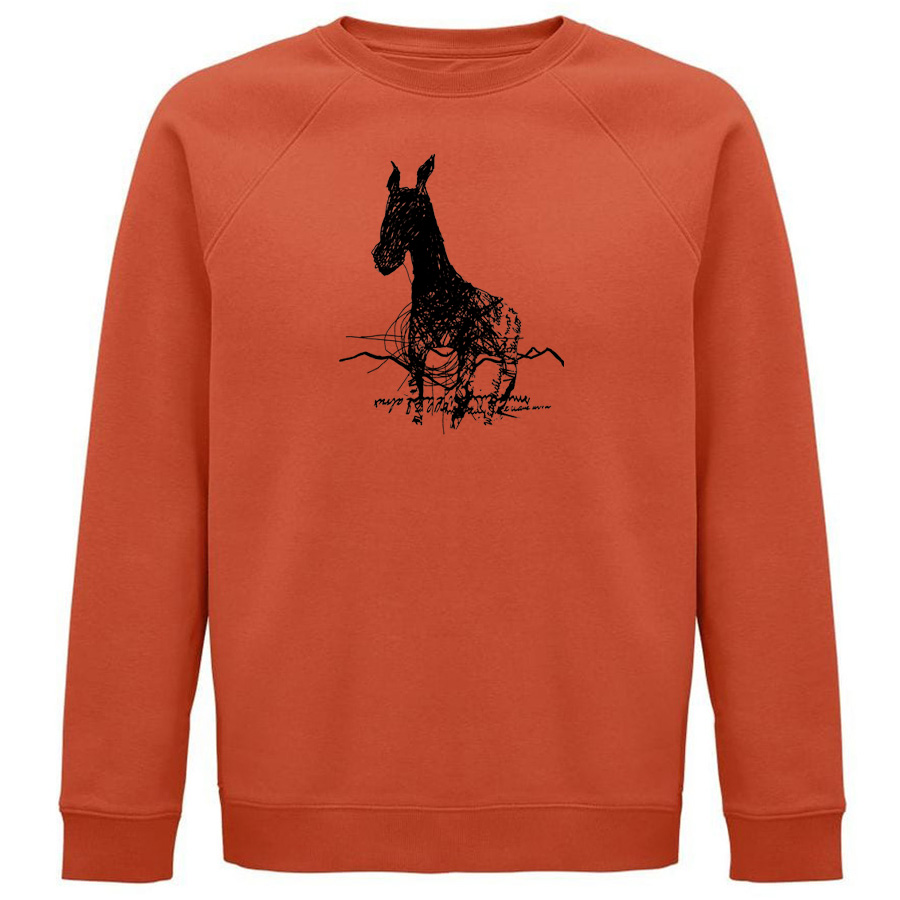 PICCO Sweater, burnt orange, Screen Print