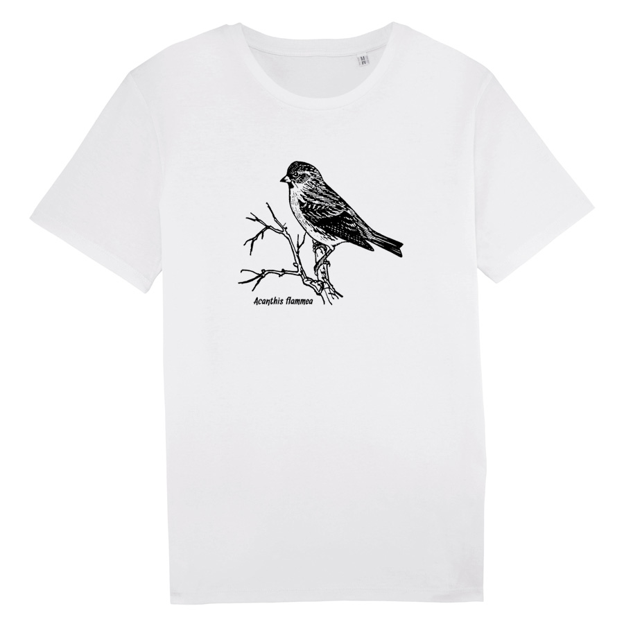 Accanthis flammea, white T-Shirt
