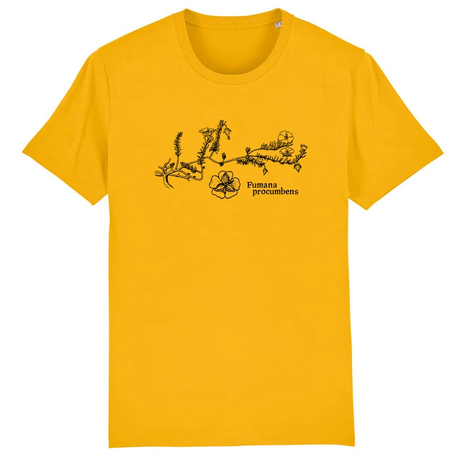 Sprawling Needle Sunrose T-Shirt