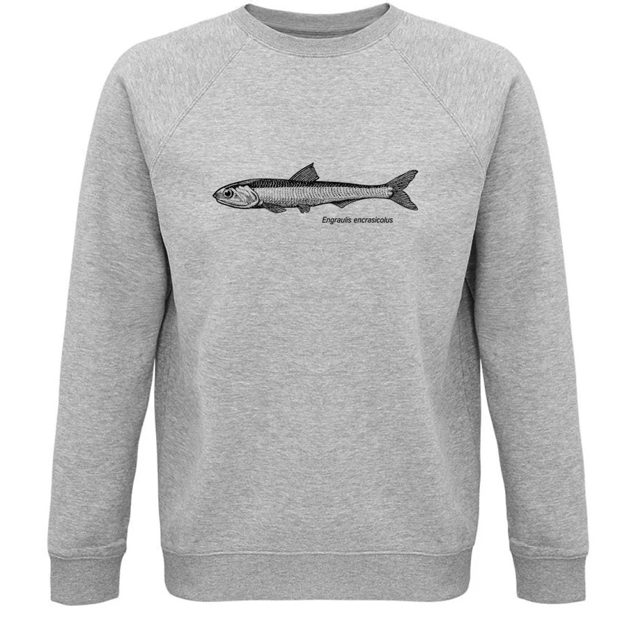 European Anchovy Sweater
