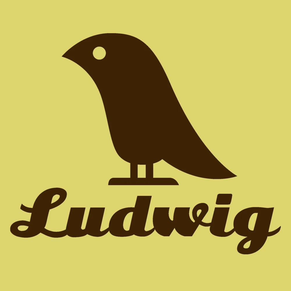 Ludwig Kids T-Shirt