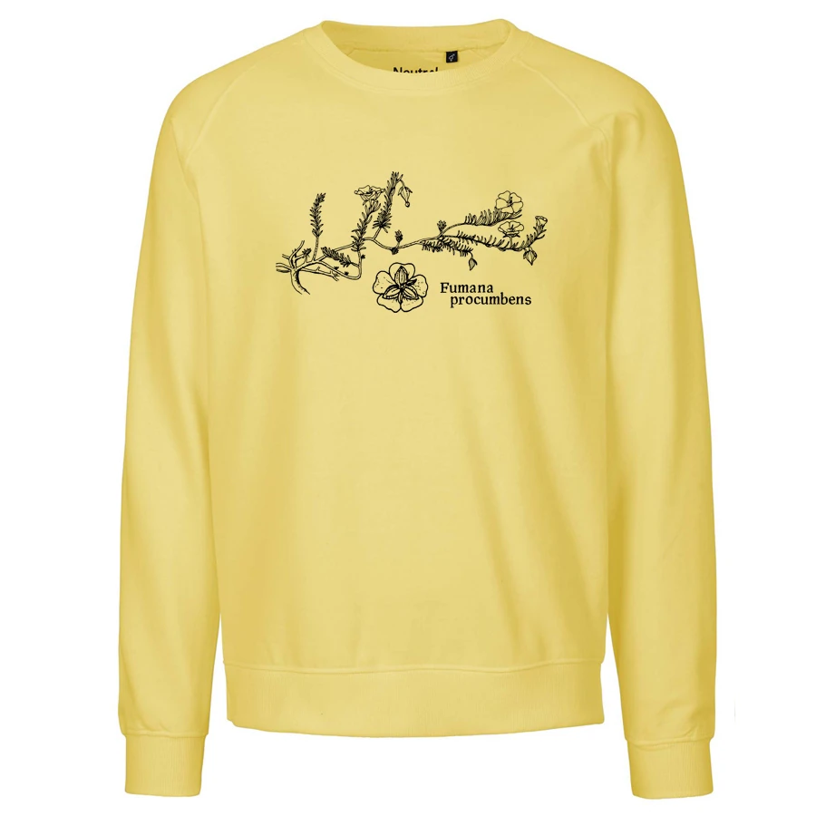 Sprawling Needle Sunrose Sweater